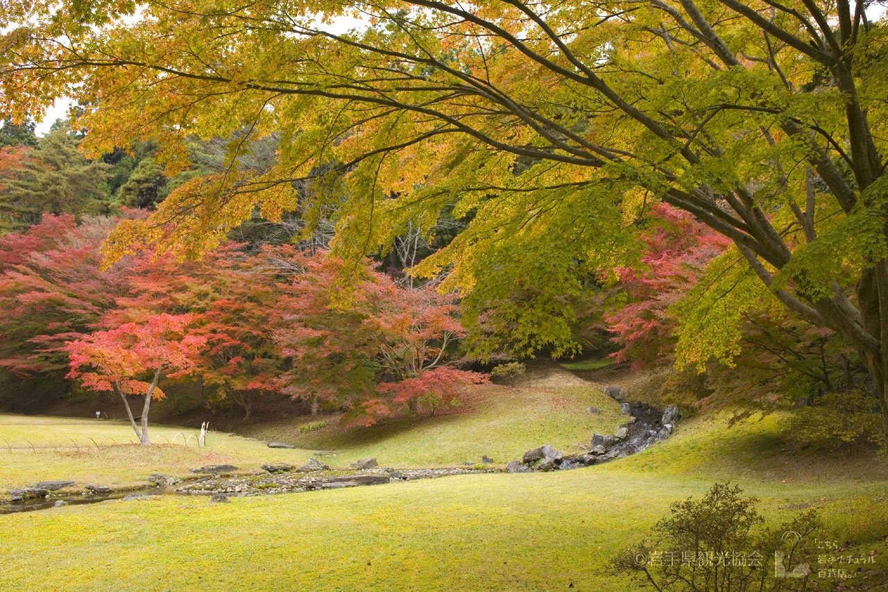 The Pure Land Garden at Motsu-ji